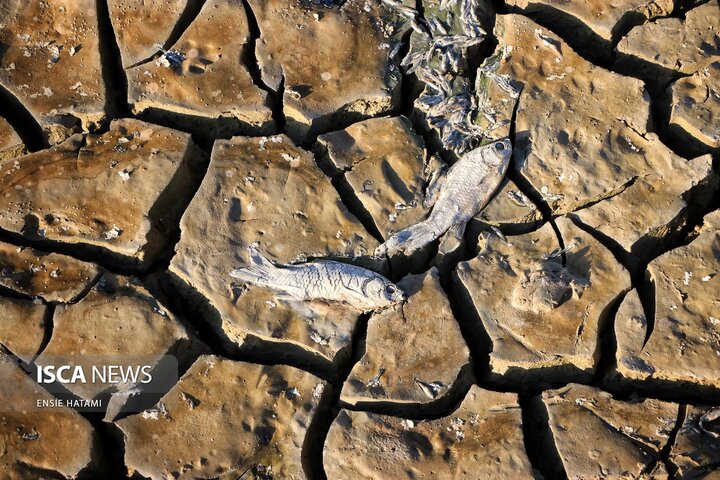 بندعبدل آباد بجنورد