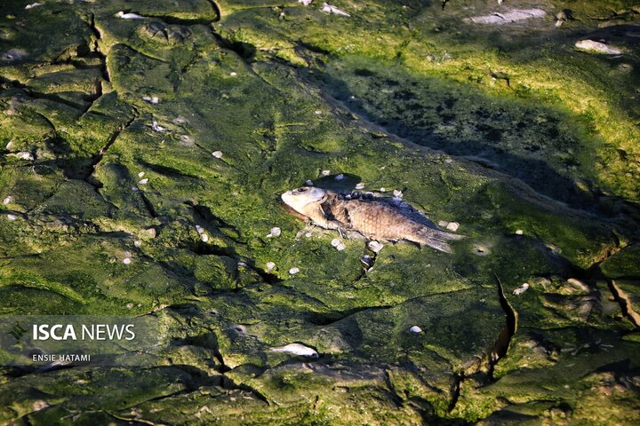 بندعبدل آباد بجنورد