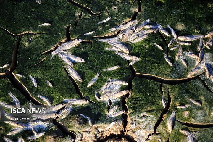 بندعبدل آباد بجنورد