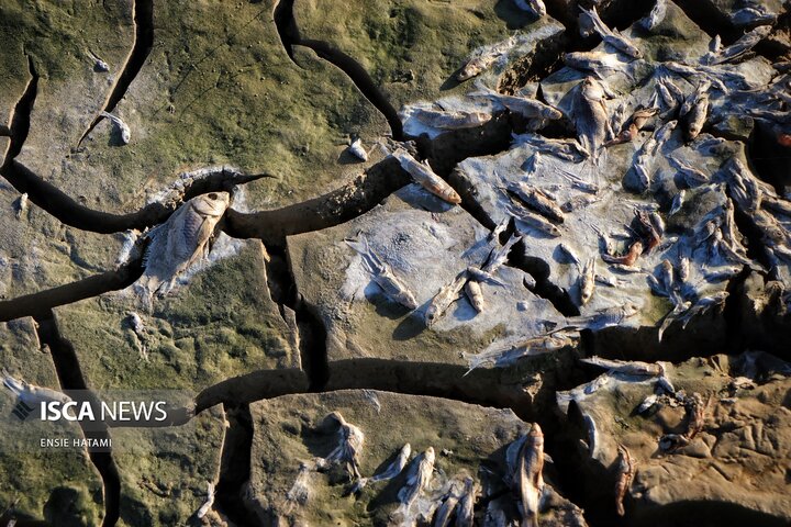 بندعبدل آباد بجنورد