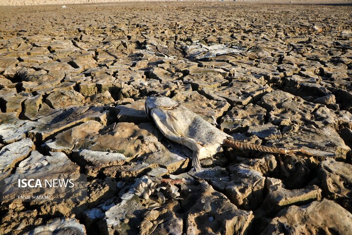 بندعبدل آباد بجنورد