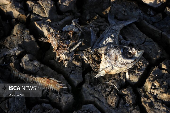 بندعبدل آباد بجنورد