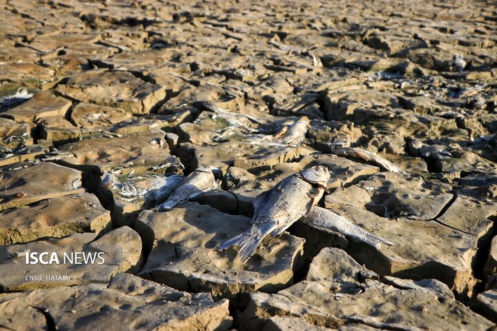 بندعبدل آباد بجنورد
