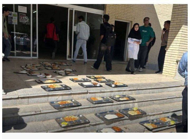 طعم جدید غذای دانشجویی؛ سوسک، انحصار و سکوت!