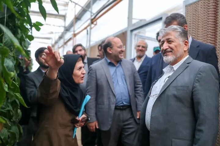 بازدید دکتر رنجبر از کارخانه بذر هیبرید دانشگاه آزاد اسلامی واحد شهر مجلسی بازدید دکتر رنجبر از کارخانه بذر هیبرید دانشگاه آزاد اسلامی واحد شهر مجلسی