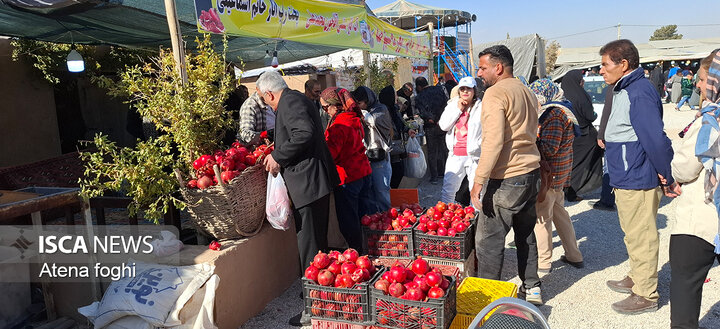 جشنواره انار