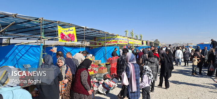 جشنواره انار