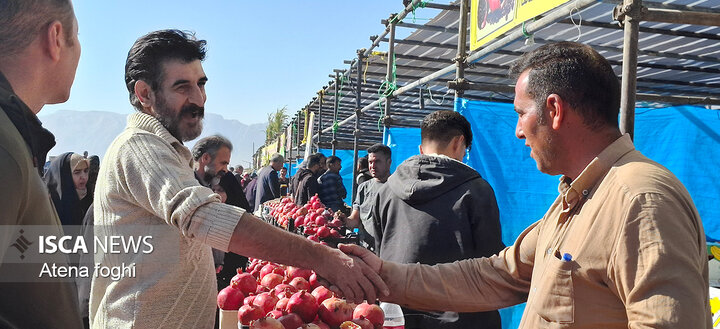 جشنواره انار