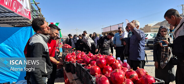 جشنواره انار