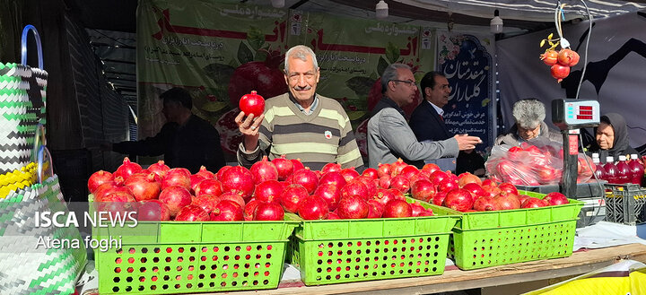 جشنواره انار