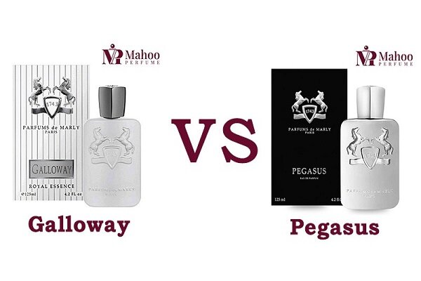 مقایسه عطر مارلی پگاسوس با مارلی گالووی | خرید کدام بهتر است؟