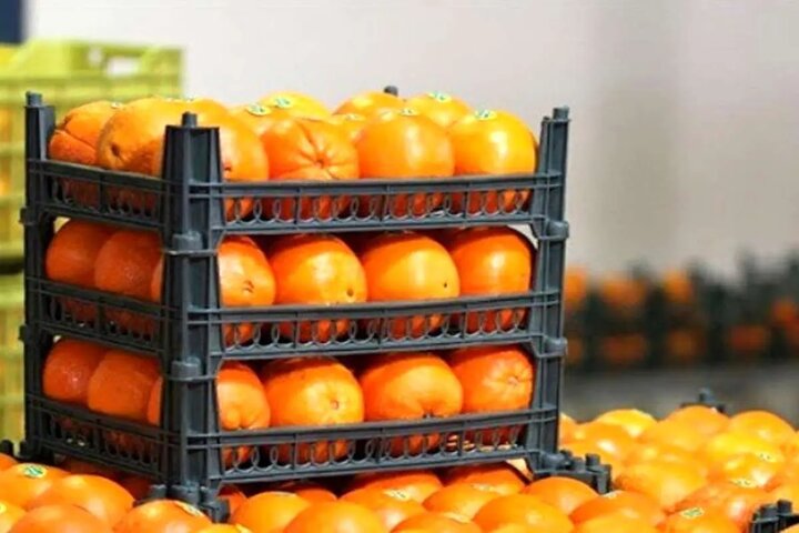 واکنش سازمان غذا و دارو به پرتقال‌های رنگ‌شده