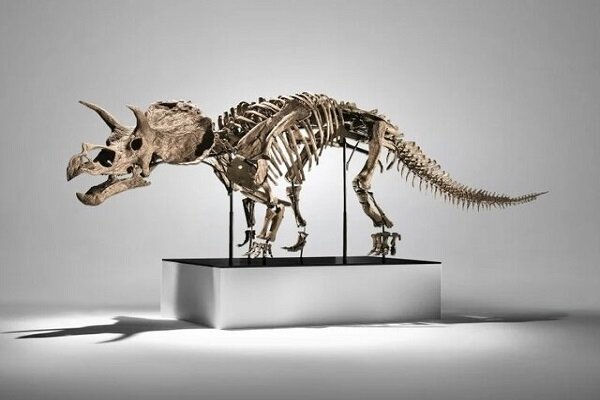 فروش اسکلت دایناسور به قیمت ۵ میلیون دلار!