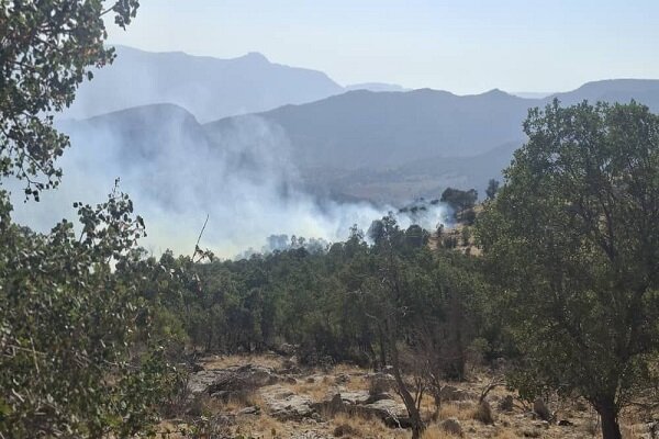 آتش‌سوزی عرصه‌های جنگلی الیت تحت کنترل است