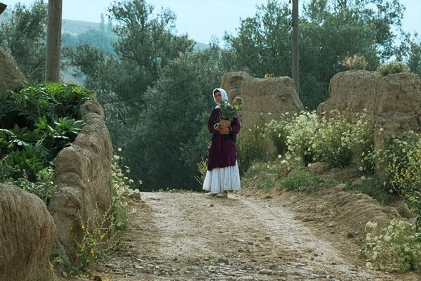 جشنواره جهانی فیلم فجر با نمایش فیلمی از عباس کیارستمی افتتاح می‌شود