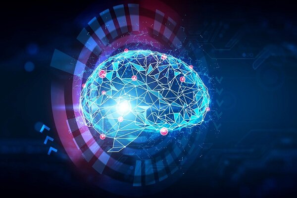 هوش مصنوعی مبتنی بر مغز زیستی که آموزش نمی‌خواهد