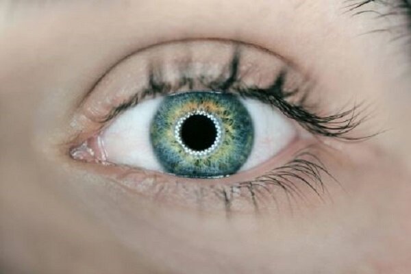 باکتری پنهان در چشم نشانهای از بیماری آلزایمر باکتری پنهان در چشم نشانهای از بیماری آلزایمر