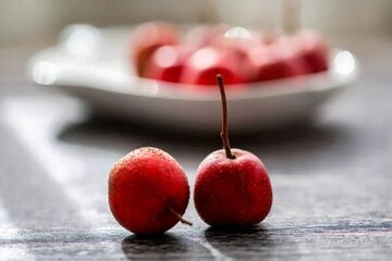 خواص درمانی معجزه گر  زالزالک برای بدن