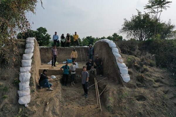 کشف دانه برنج ۳ هزار ساله در آمل