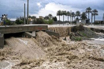 هشدار جدی جهاد کشاورزی هرمزگان درباره سرمازدگی محصولات پس از بارش‌ها