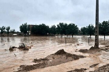 فرماندار قشم دستور تخلیه روستای طولا را صادر کرد