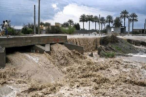هشدار جدی جهاد کشاورزی هرمزگان درباره سرمازدگی محصولات پس از بارش‌ها