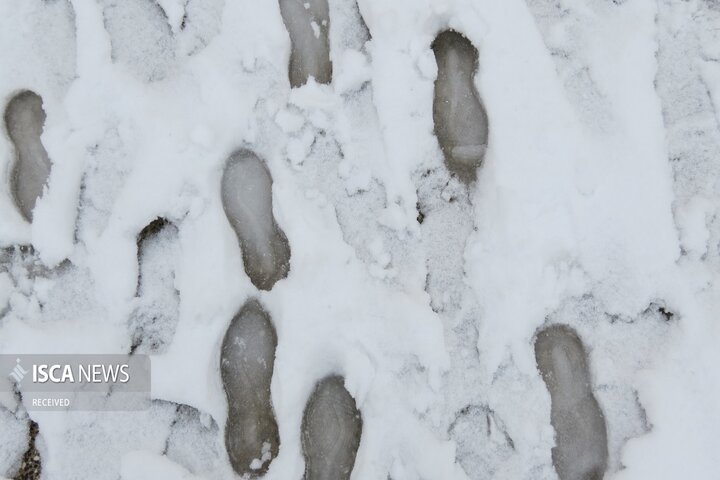 مفقودی ۱۴ نفر در برف و کولاک قلدان سردشت