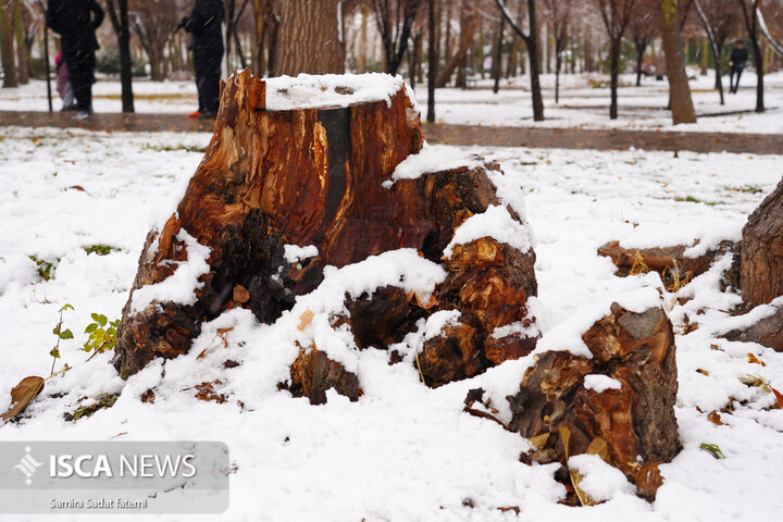 اصفهان برفی