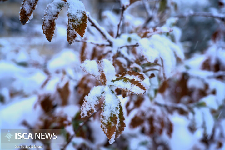 اصفهان برفی