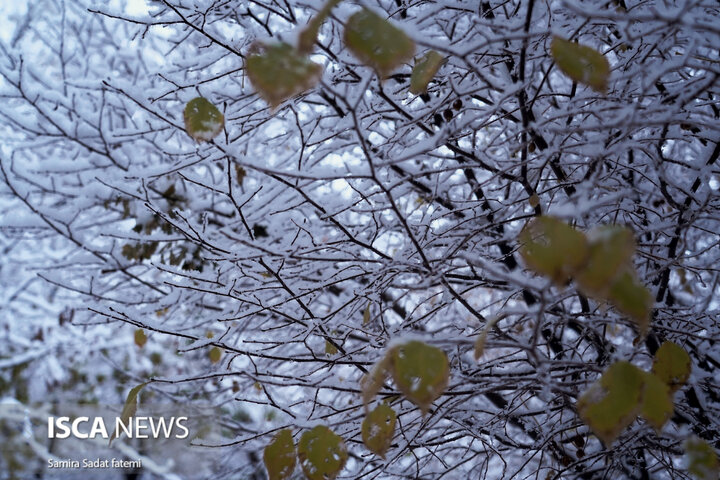 اصفهان برفی