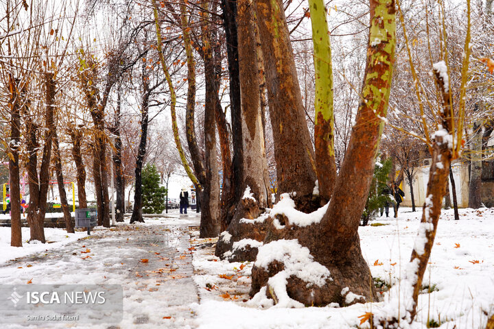 اصفهان برفی