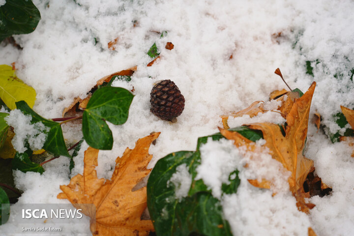 اصفهان برفی