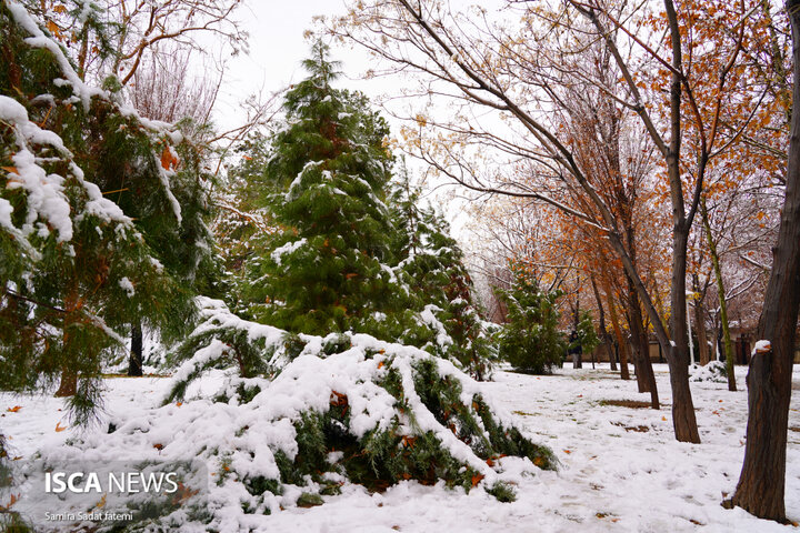 اصفهان برفی