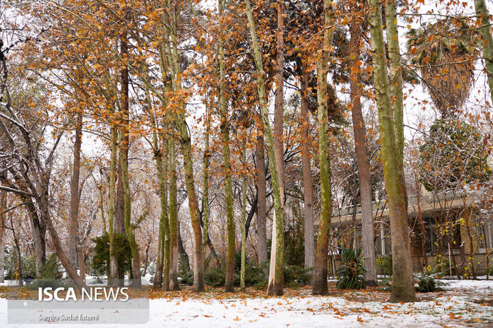 اصفهان برفی