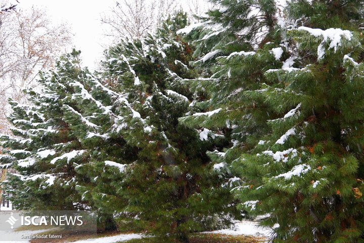 اصفهان برفی