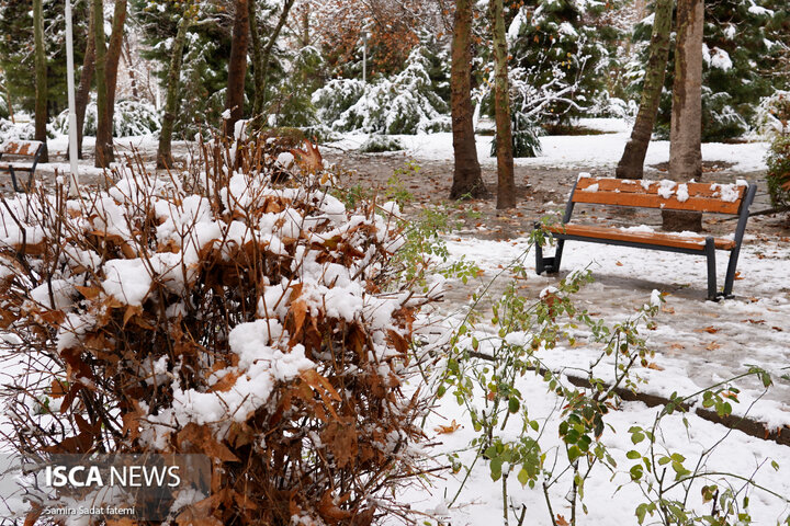 اصفهان برفی