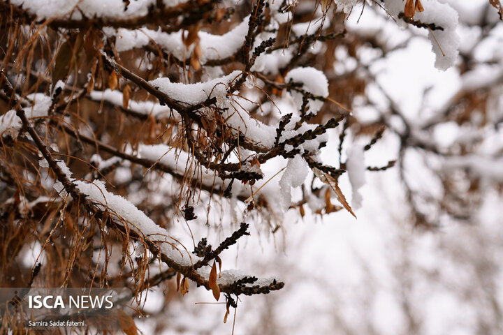اصفهان برفی