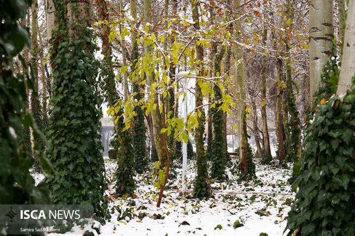 اصفهان برفی