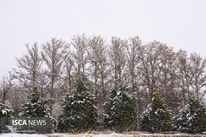 اصفهان برفی