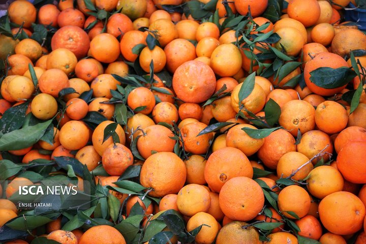 بازار یلدای بجنورد