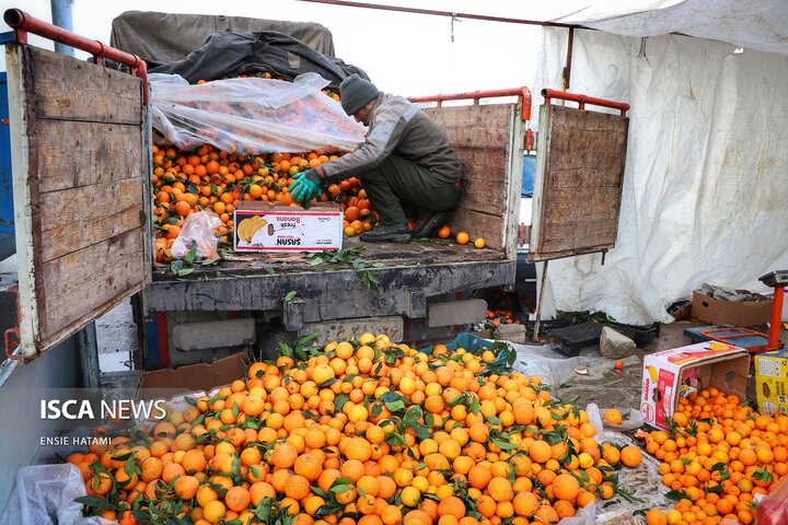 بازار یلدای بجنورد