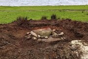 کشف قبر ۴ هزار ساله در زمین کشاورزی + عکس