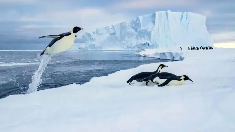 جذابترین عکسهای قطبی سال ۲۰۲۵