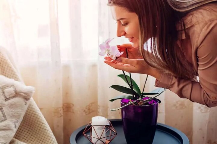 ۵ دستورالعمل جادویی برای خوشبو کردن طبیعی فضای منزل ۵ دستورالعمل جادویی برای خوشبو کردن طبیعی فضای منزل