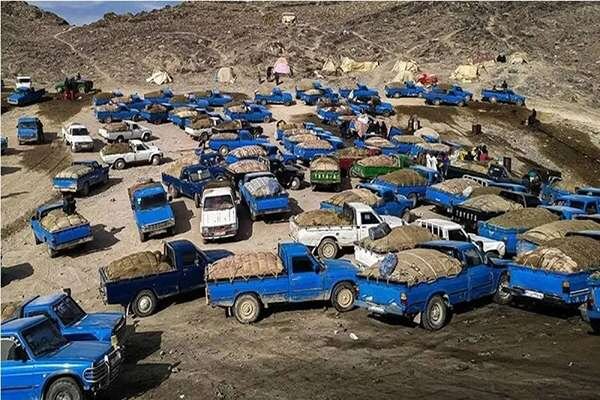 قدرت سرمنشأهای قاچاق سوخت، مهار این پدیده را دشوار کرده است/ ضرورت ورود بخش خصوصی به زنجیره سوخت