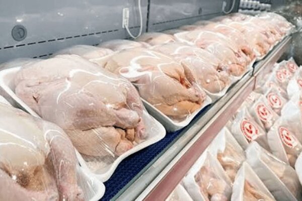 دلایل کمبود مرغ در بازار کردستان