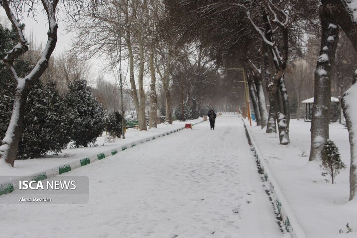 بارش برف زمستانی در اردبیل
