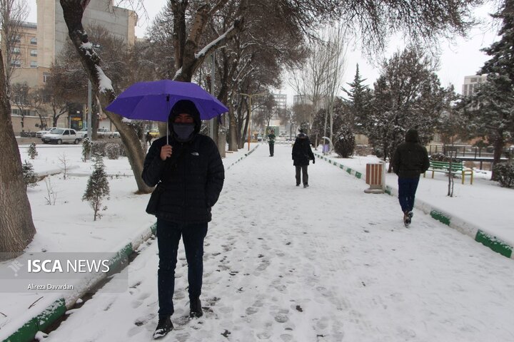 بارش برف زمستانی در اردبیل