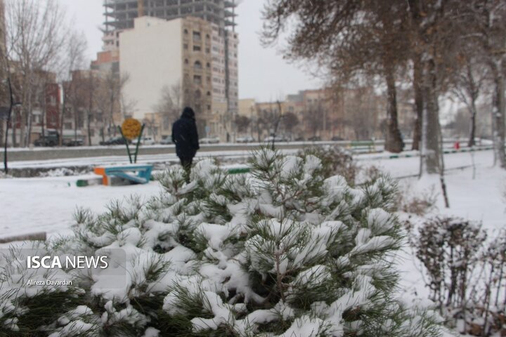 بارش برف زمستانی در اردبیل