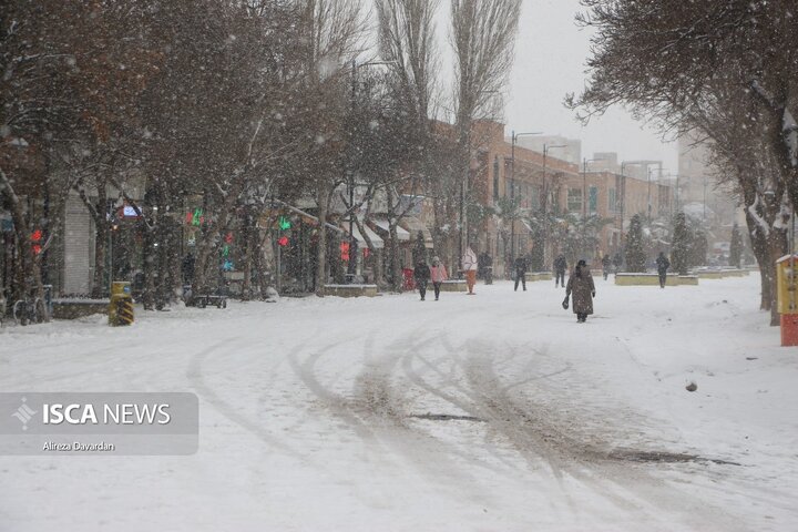 بارش برف زمستانی در اردبیل